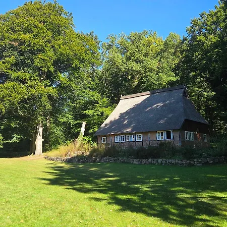 Haverbeckhof 3* Niederhaverbeck