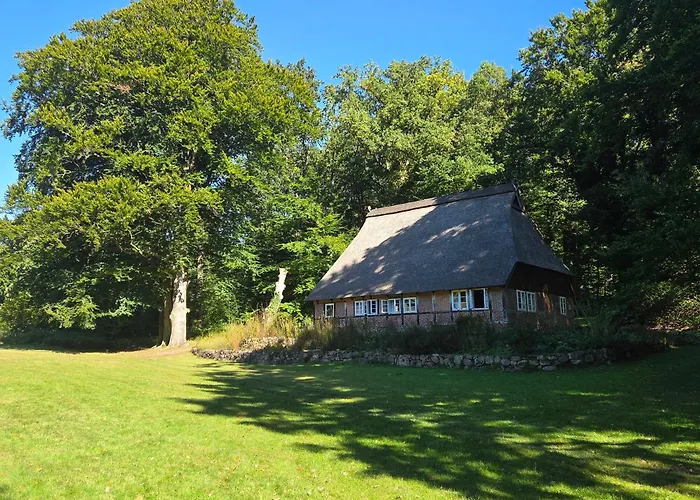 Haverbeckhof 3* Niederhaverbeck